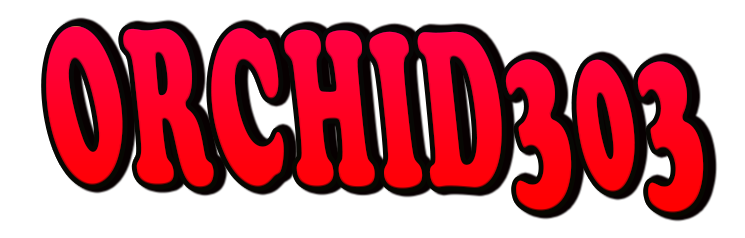 ORCHID303